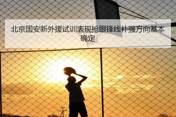 北京国安新外援试训表现抢眼锋线补强方向基本确定（YYSports）