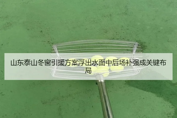 山东泰山冬窗引援方案浮出水面中后场补强成关键布局（YYSports）